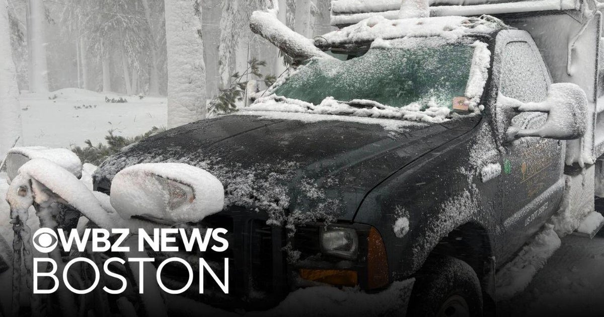 Tree branch nearly impales plow truck driver during Massachusetts blizzard