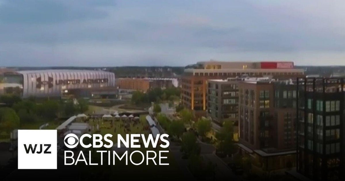 Consumer watchdog wants Maryland to look into BGE's Baltimore Peninsula plans