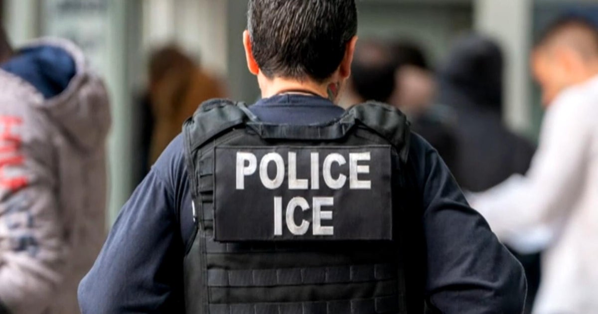 ICE arrested more than 260 DACA recipients over 10 months last year, documents show