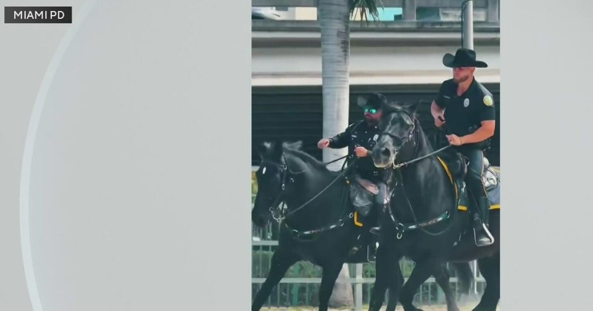 Miami Police horses retire after 30 years of service