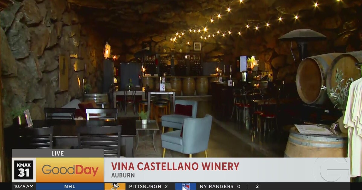 Vina Castellano Winery Part 2