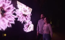 Art and data converge in Arizona's Sonoran Desert 