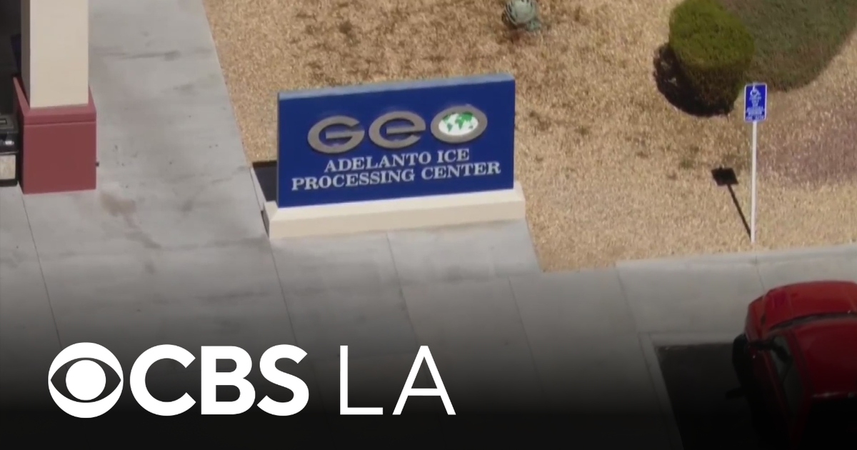 California mother, Trump supporter who was detained by ICE makes emotional return home