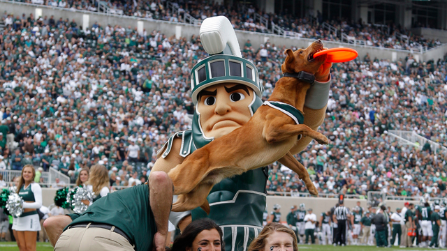 Michigan State University's beloved "Zeke the Wonderdog" dies 