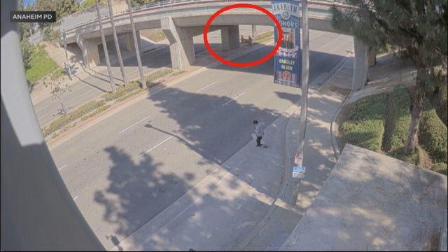 anaheim-pd-kidnapping.jpg 