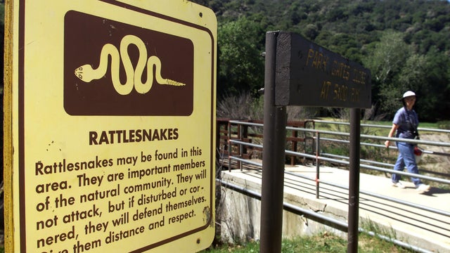 It's rattlesnake season and visitors to the Placerita Canyon Nature Center are warned with a sign. D 