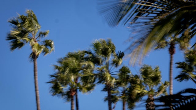 Wind in Southern California 