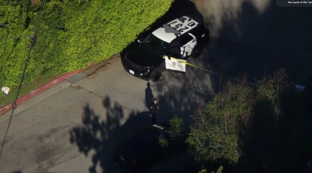Rihanna's Beverly Hills home hit by gunfire; suspect arrested, LAPD says -  CBS Los Angeles