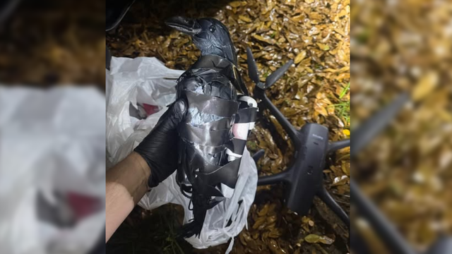 2 Texas women charged for using drones, plastic crows to smuggle drugs, phones into Louisiana federal prison 