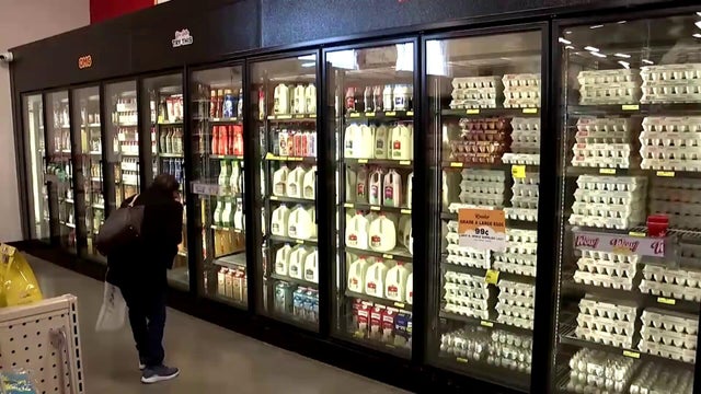 A grocery store shopper standing in front of the dairy section 