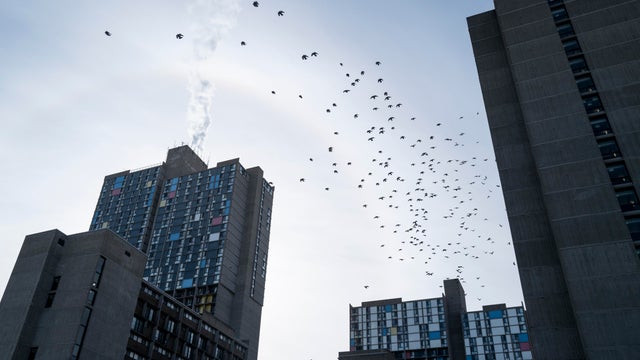 As Trump Administration Targets Somali Community In Minneapolis, Prayer Service Held In Support Of The Immigrant Community 
