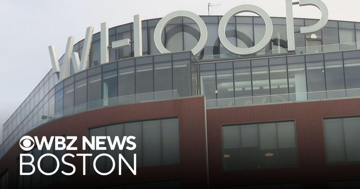 Gov. Healey celebrates companies bringing business to Massachusetts