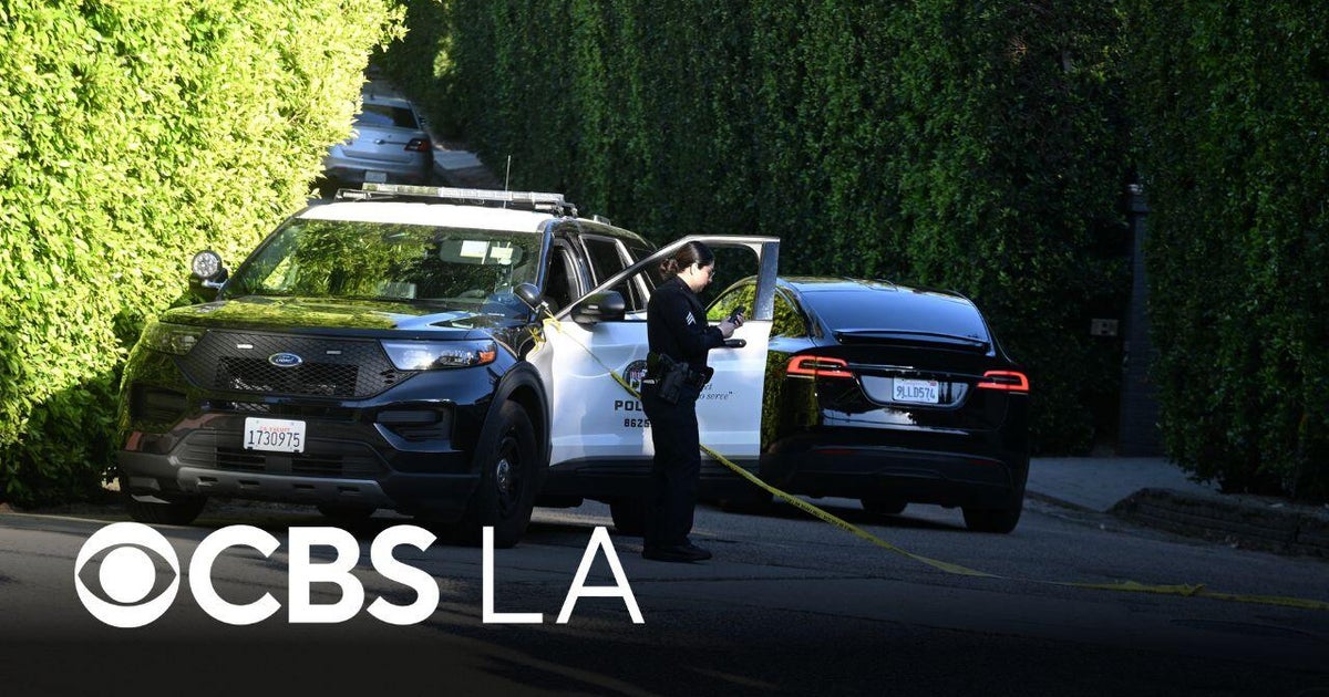 Woman charged with attempted murder after allegedly shooting at Rihanna ...