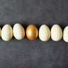 Eggs and one golden egg in nest basket on the black background. 