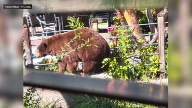 Law enforcement vehicles on a police chase 