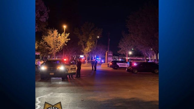 Sheriff's patrol cars seen in a parking lot 