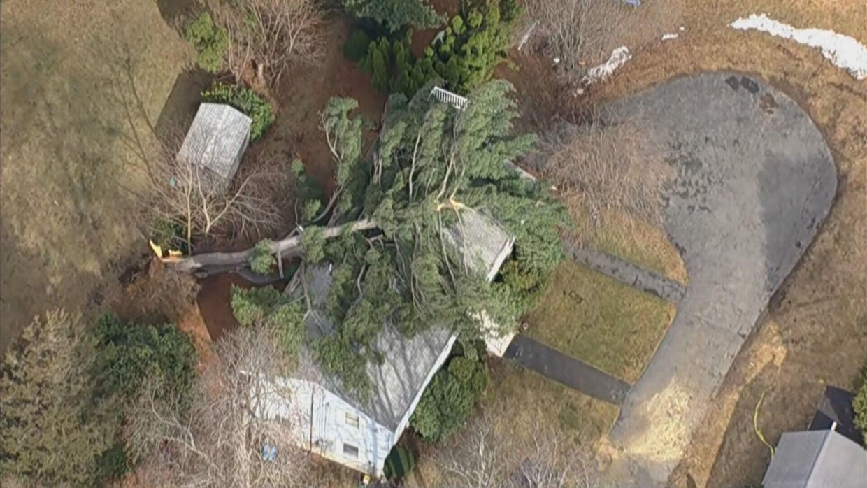 Power outages across Massachusetts after strong winds pull down trees ...