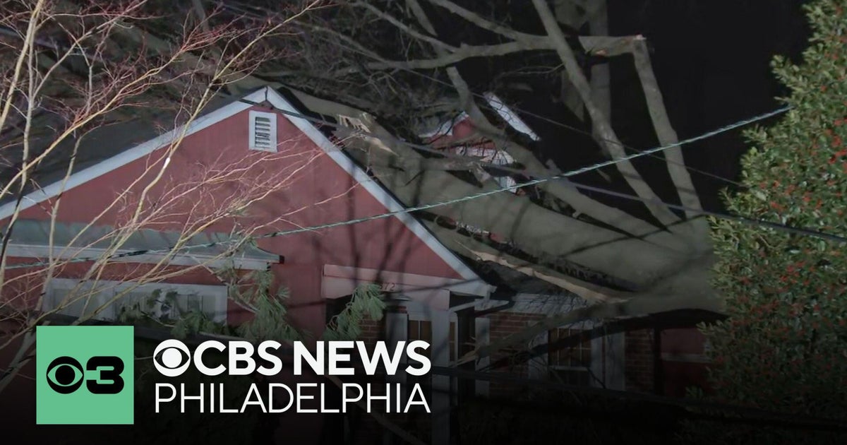 Tree falls on Gloucester County, N.J. home as storms cause damage ...