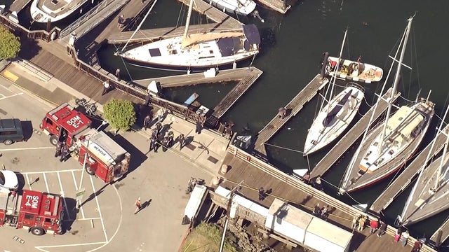 Sausalito Yacht Harbor water rescue 