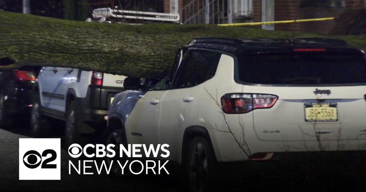Overnight storm uproots trees in NYC, parts of Westchester - CBS New York