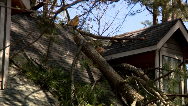 storm-damage.png 