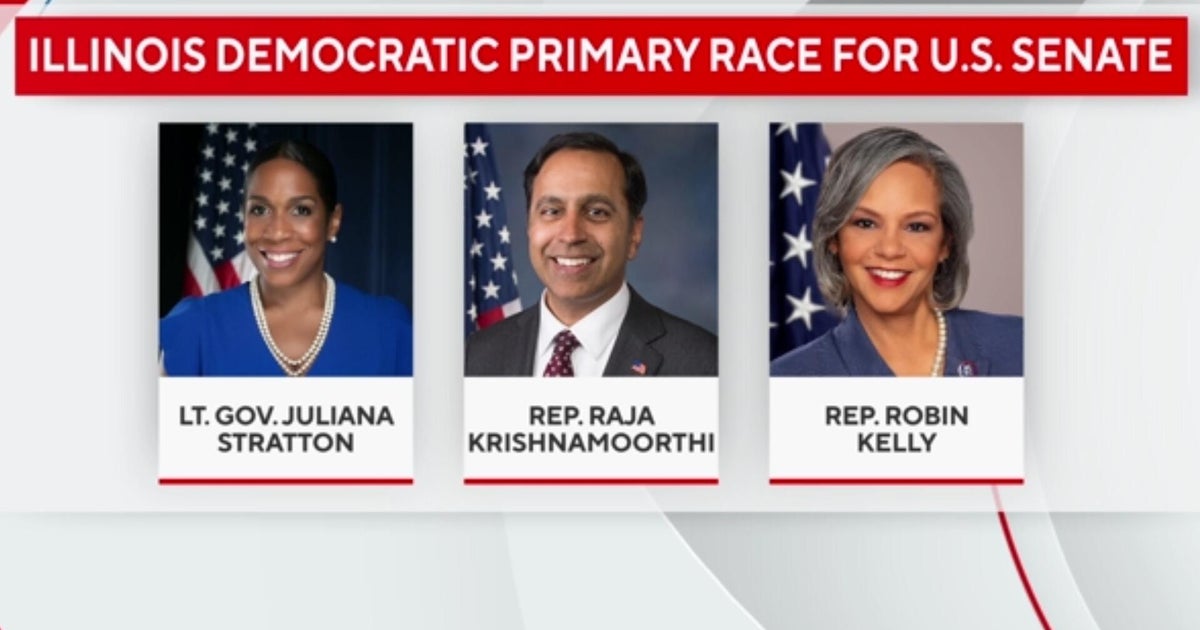 Breaking down the Illinois primary fight for Sen. Dick Durbin's seat