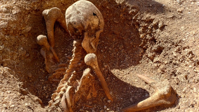 FRANCE-HISTORY-ARCHEOLOGY 