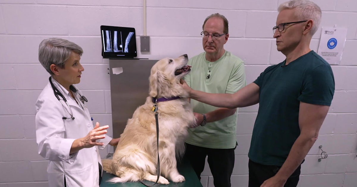 Comparative Oncology | 60 Minutes Archive