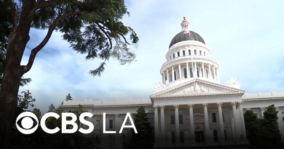 California Governor's Race