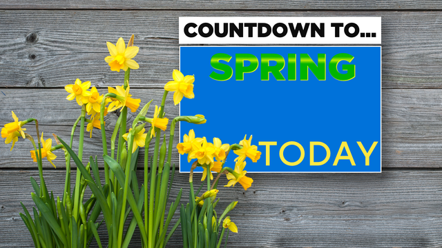spring-countdown.png 