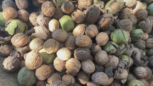 walnuts.jpg 
