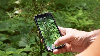 How iNaturalist app users have fun while aiding science 