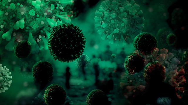 Measles virus infection outbreak, contagious 