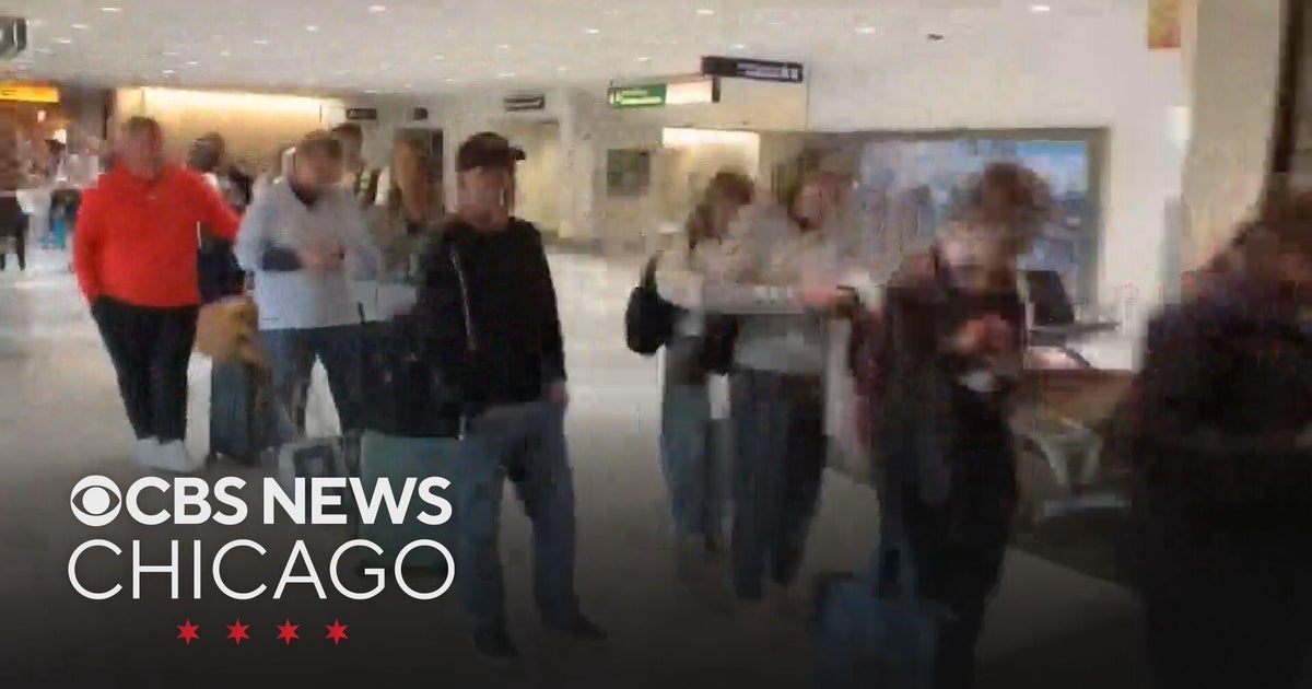 President Trump orders ICE agents at airports to help with TSA lines ...