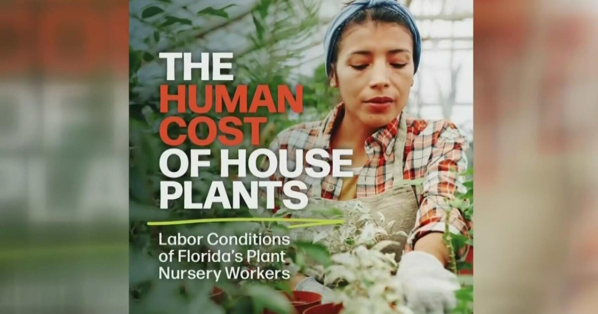 Report alleges unsafe conditions for nursery workers in South Florida, drawing response from major plant supplier