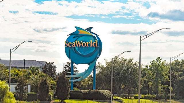 Billboard road highway sign for Seaworld Theme entertainment amusement attraction park in Florida 