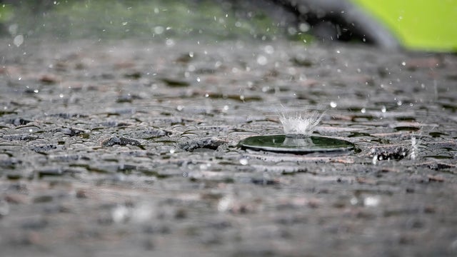 Splashing Rain Drops 