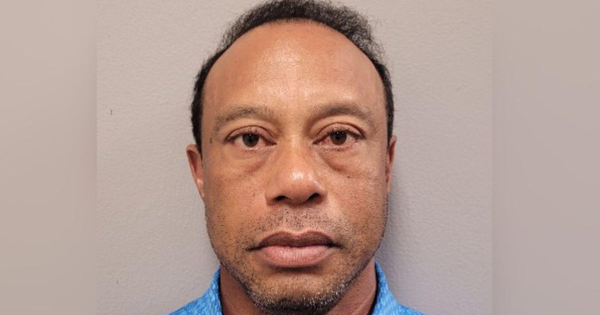 New details on Tiger Woods' arrest in police report