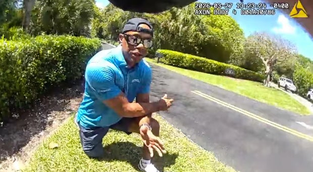 Tiger Woods Crash Golf 