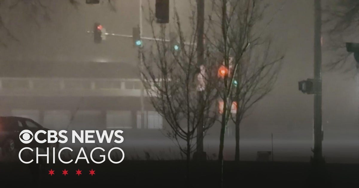 Severe storms bring heavy downpours, strong winds to Chicago area - CBS ...