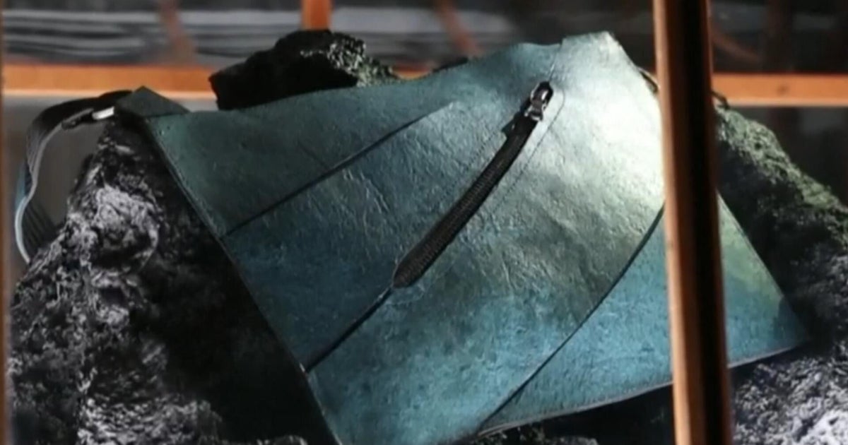 Scientists unveil leather handbag derived from dinosaur DNA
