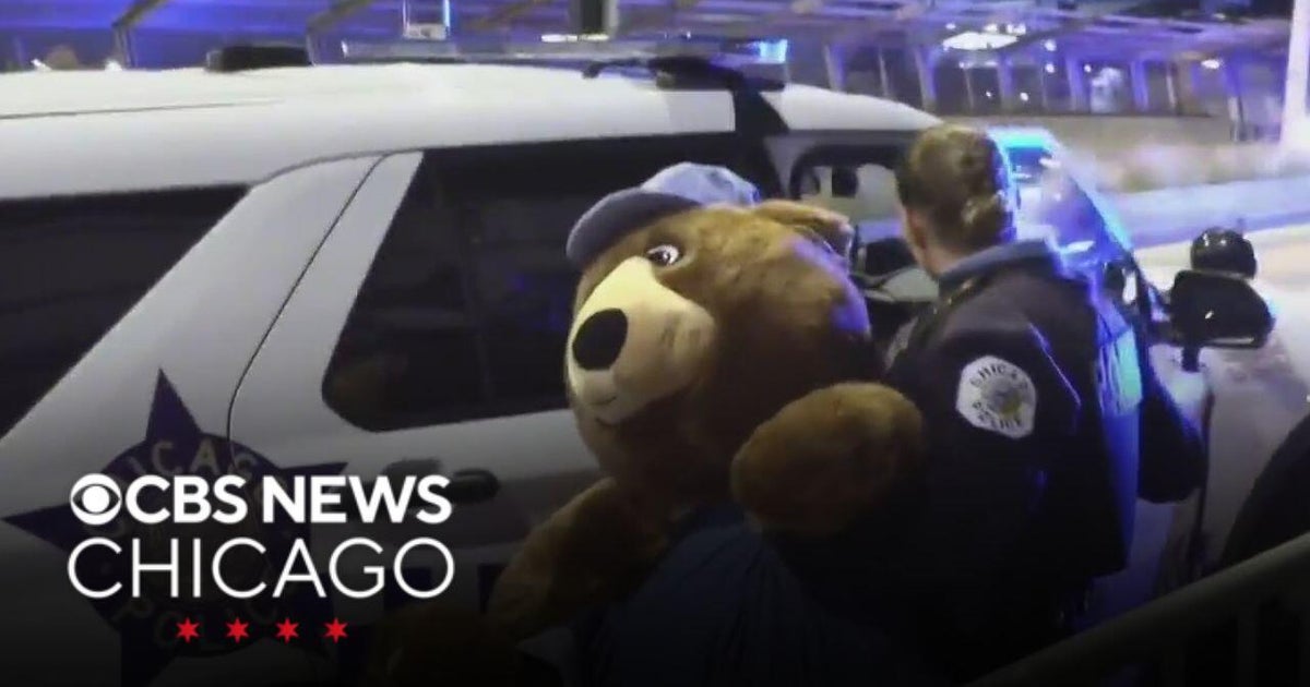 2 teens arrested for stealing teddy bear from chocolate store in the ...