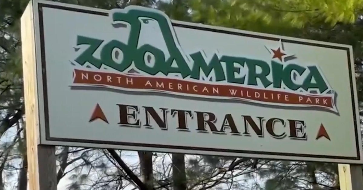 Parents charged after toddler injured by wolf at Pennsylvania zoo