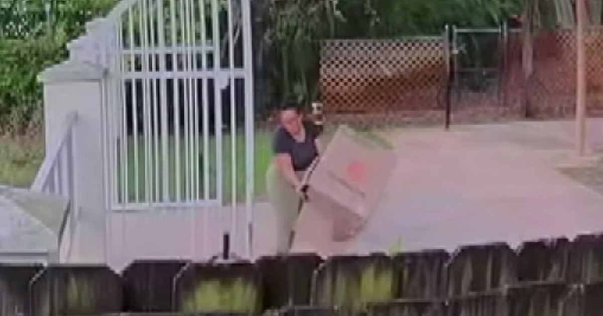 Search continues for woman spotted dumping box of kittens in Broward park