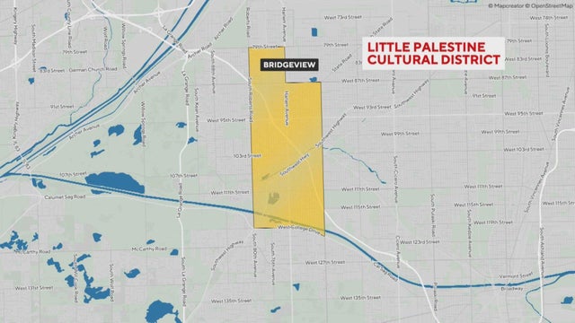 little-palestine in bridgeview 