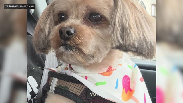 Woman and child hold blanket in yard 