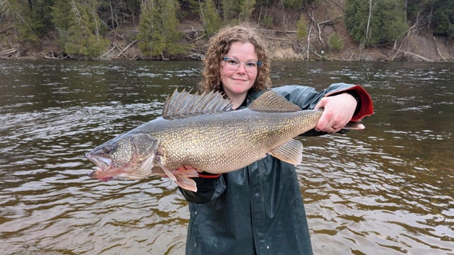 dnr-walleye-slider.jpg 