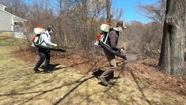 Tick spraying 