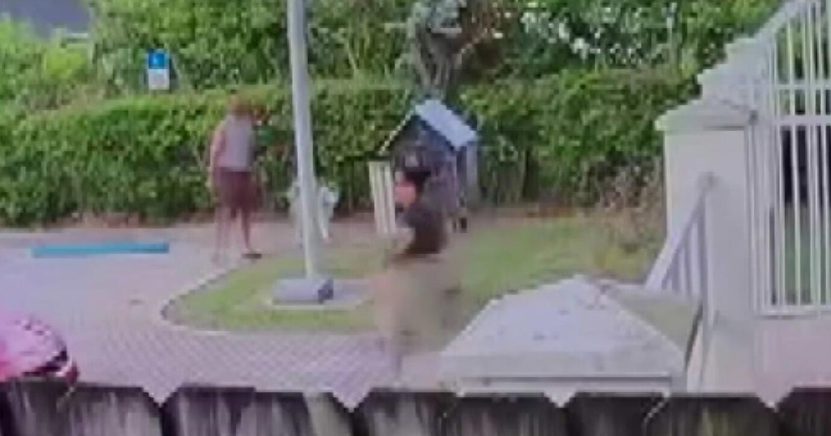 Broward woman arrested for dumping kittens at a park in Wilton Manors, police say