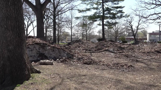 dirt-covered snow piles 